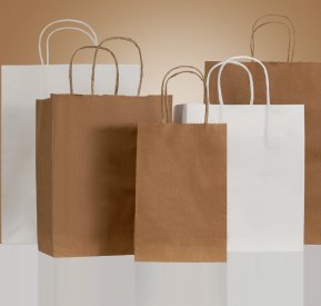 🛍️ Classic Paper Gift Bags