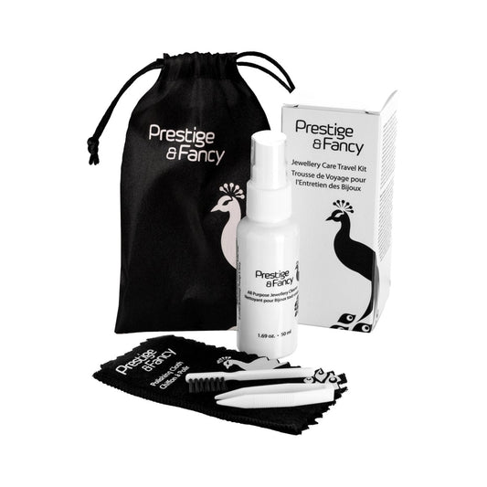 All Purpose Jewelry Spray Travel Cleaning Kit - Prestige and Fancy -