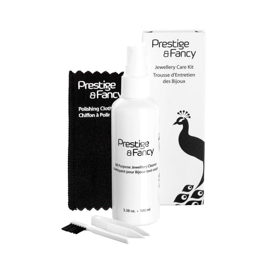 All Purpose Jewelry Spray Cleaning Kit - Prestige and Fancy -