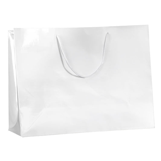 Elegant & Durable Laminated Glossy Shopping Bags Collection